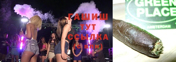 прущие грибы Дмитриев