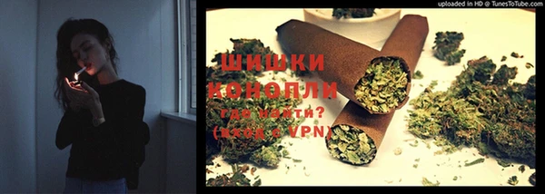 прущие грибы Дмитриев
