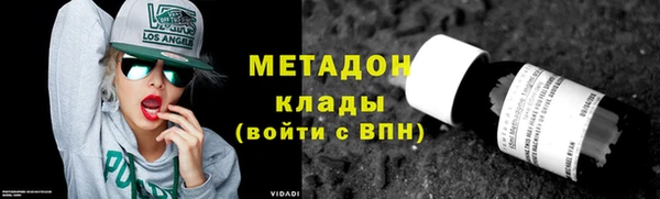прущие грибы Дмитриев