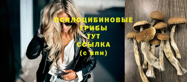 MDMA Дмитровск