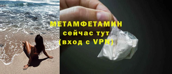 прущие грибы Дмитриев