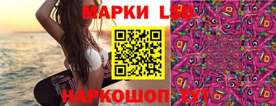 прущие грибы Дубна