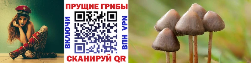где продают наркотики  Дзержинский  нарко площадка как зайти  Галлюциногенные грибы мухоморы 