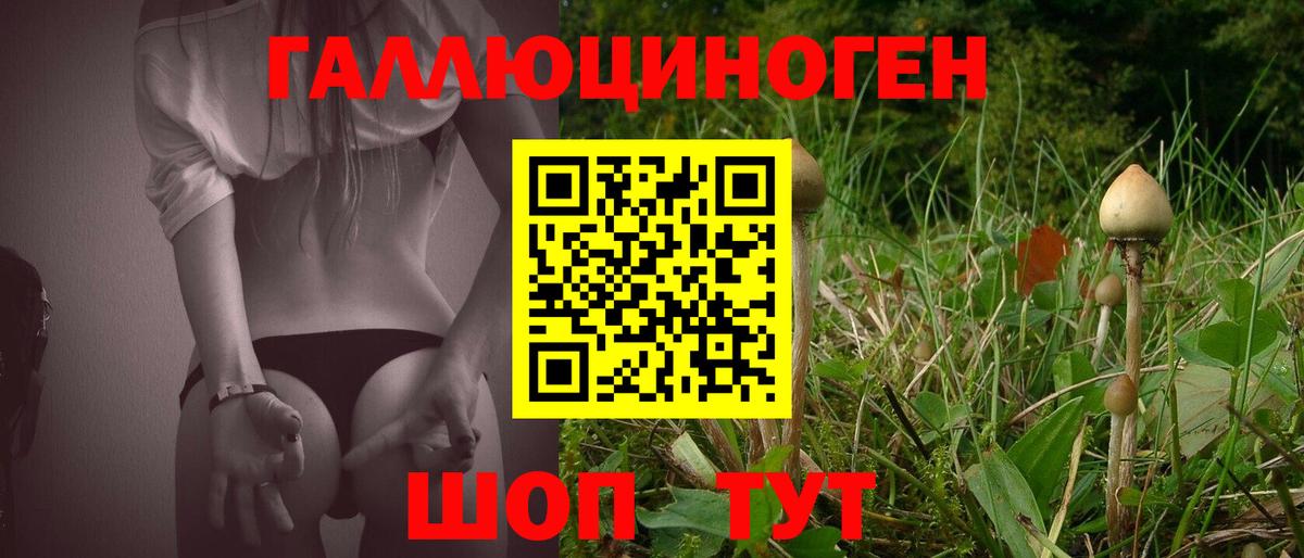 Дзержинский  Галлюциногенные грибы мухоморы  Псилоцибиновые грибы GOLDEN TEACHER  Вход с VPN 