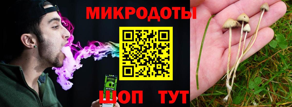 Псилоцибиновые грибы мицелий  Дзержинский 